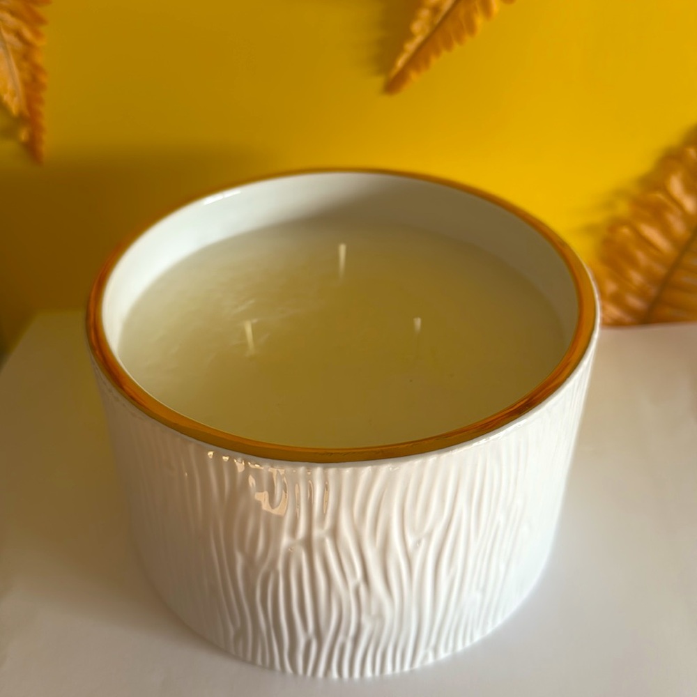 Thymes Frasier Fir Candle 3 wick 20 oz - Picture 8 of 9
